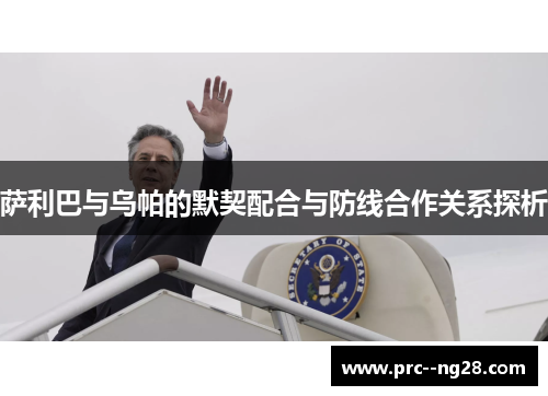 萨利巴与乌帕的默契配合与防线合作关系探析 萨利巴与乌帕的默契配合与防线合作关系探析