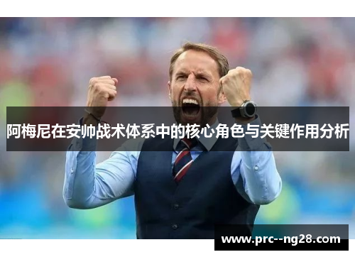 阿梅尼在安帅战术体系中的核心角色与关键作用分析