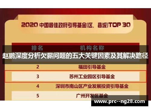 赵鹏深度分析欠薪问题的五大关键因素及其解决路径