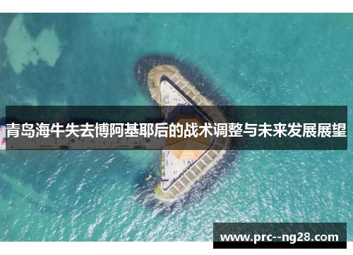 青岛海牛失去博阿基耶后的战术调整与未来发展展望 青岛海牛失去博阿基耶后的战术调整与未来发展展望