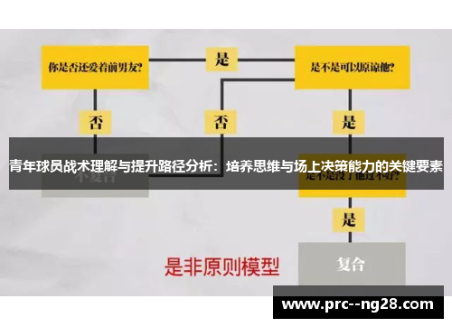 青年球员战术理解与提升路径分析：培养思维与场上决策能力的关键要素