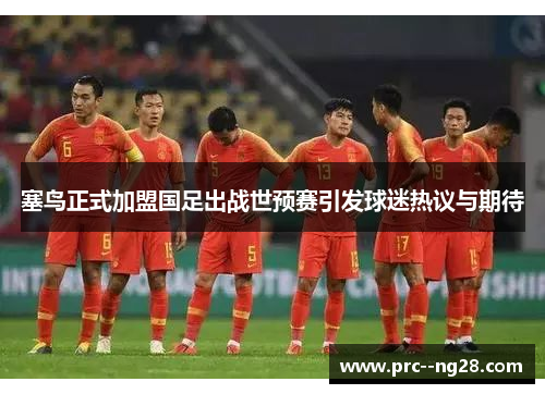 塞鸟正式加盟国足出战世预赛引发球迷热议与期待