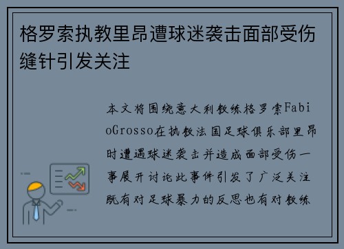 格罗索执教里昂遭球迷袭击面部受伤缝针引发关注 格罗索执教里昂遭球迷袭击面部受伤缝针引发关注